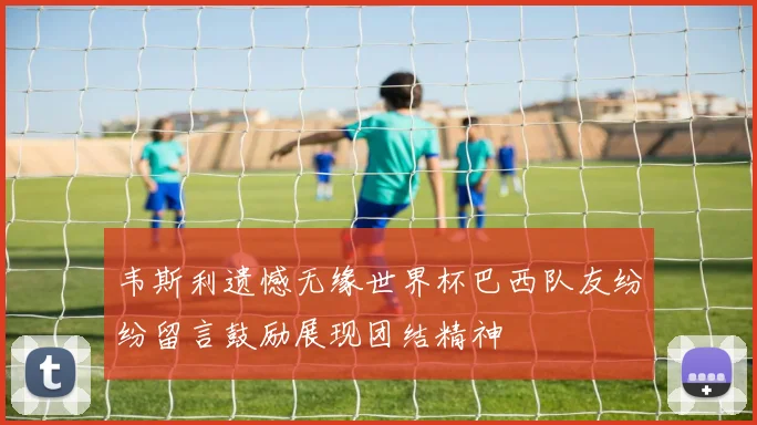 韦斯利遗憾无缘世界杯巴西队友纷纷留言鼓励展现团结精神