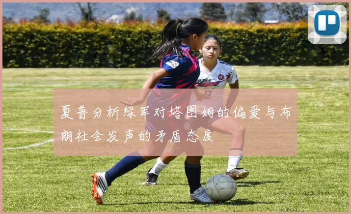 夏普分析绿军对塔图姆的偏爱与布朗社会发声的矛盾态度